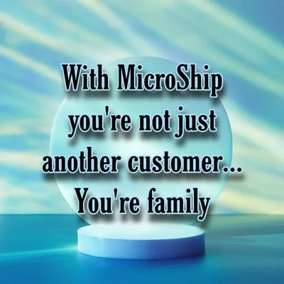 Micro Ship INC