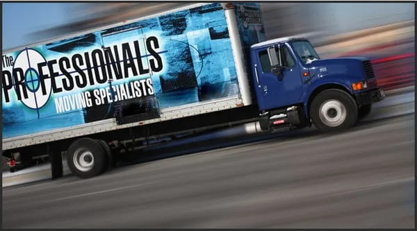 The Professionals INC