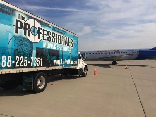 The Professionals INC
